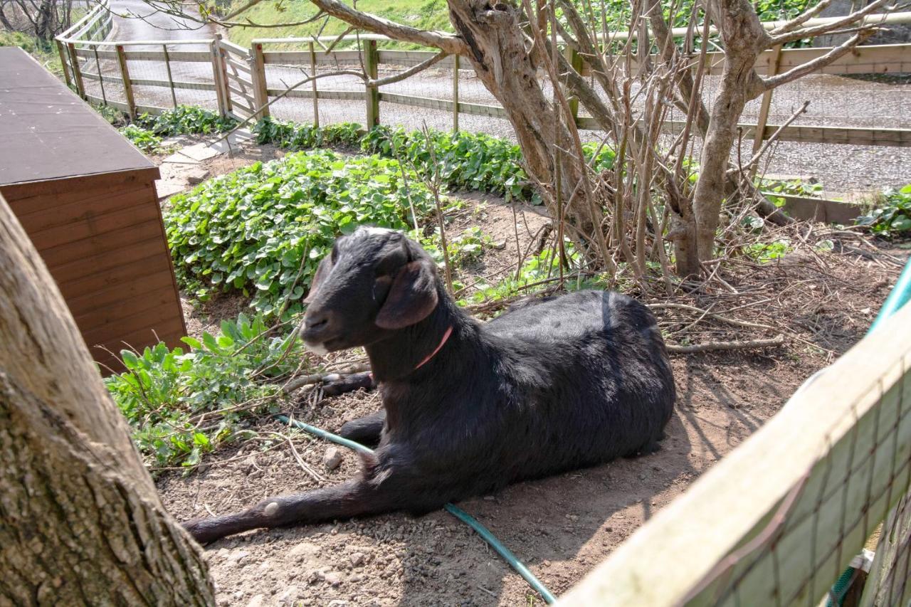 Bronllys Farm Coastal Self-Catering Daire Llanelli Dış mekan fotoğraf