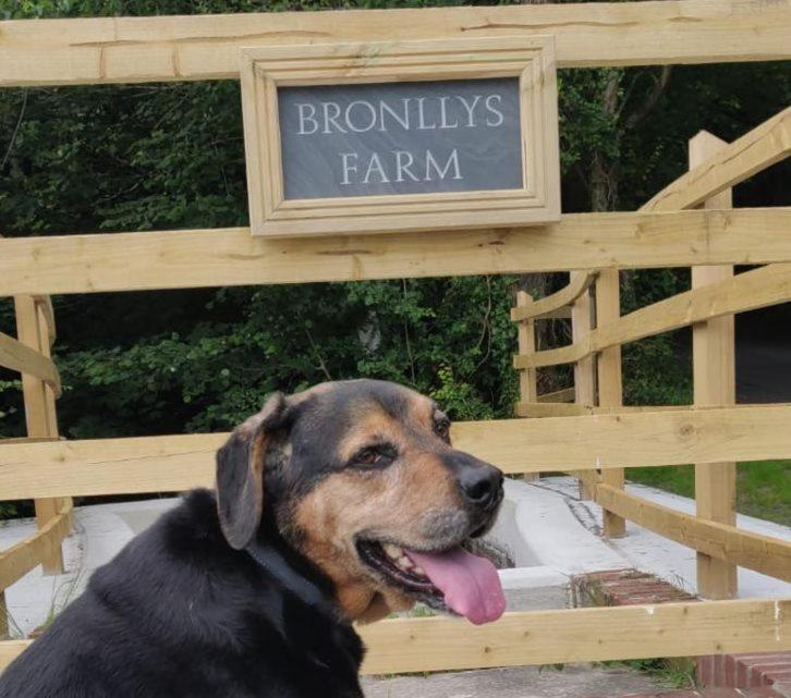 Bronllys Farm Coastal Self-Catering Daire Llanelli Dış mekan fotoğraf